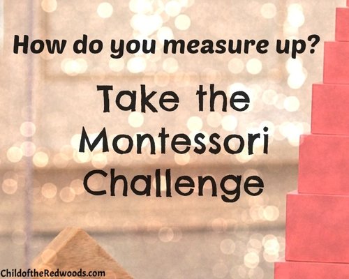 montessori-challenge